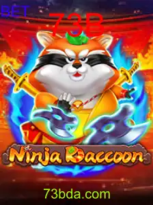 NinjaRaccoon
